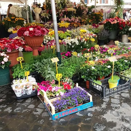 Campofiori روما