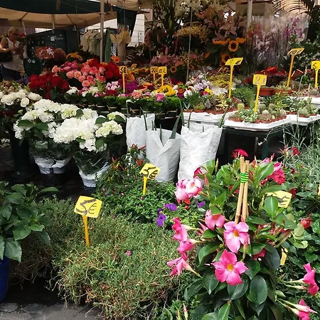 شقة Campofiori
