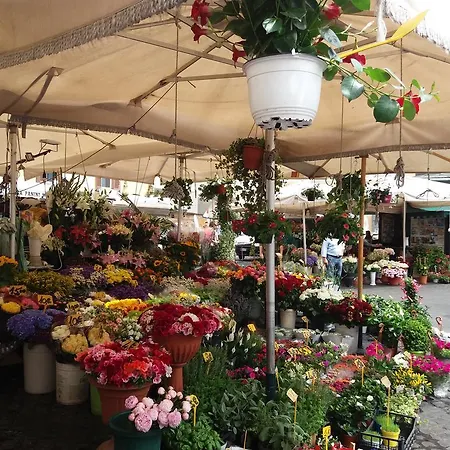 Campofiori روما