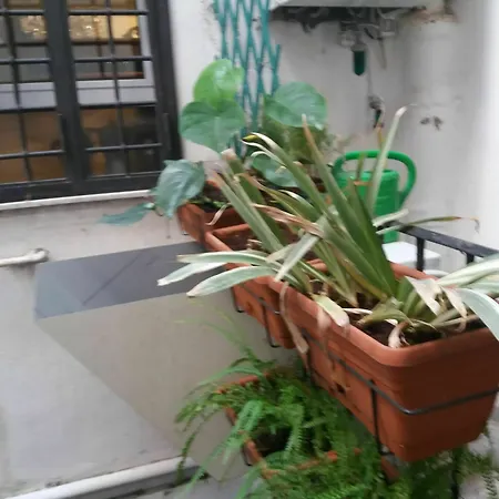 Apartman Campofiori *