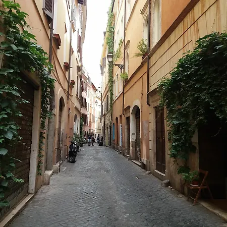 Apartman Campofiori *